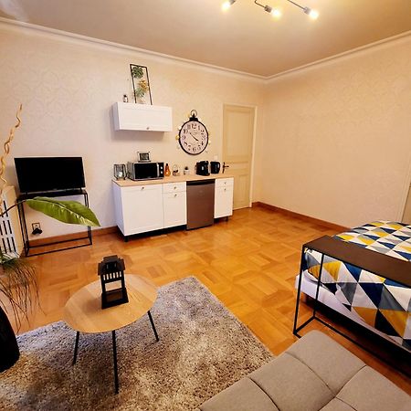 Superbe Appartement Calme Et Spacieux Graulhet Esterno foto