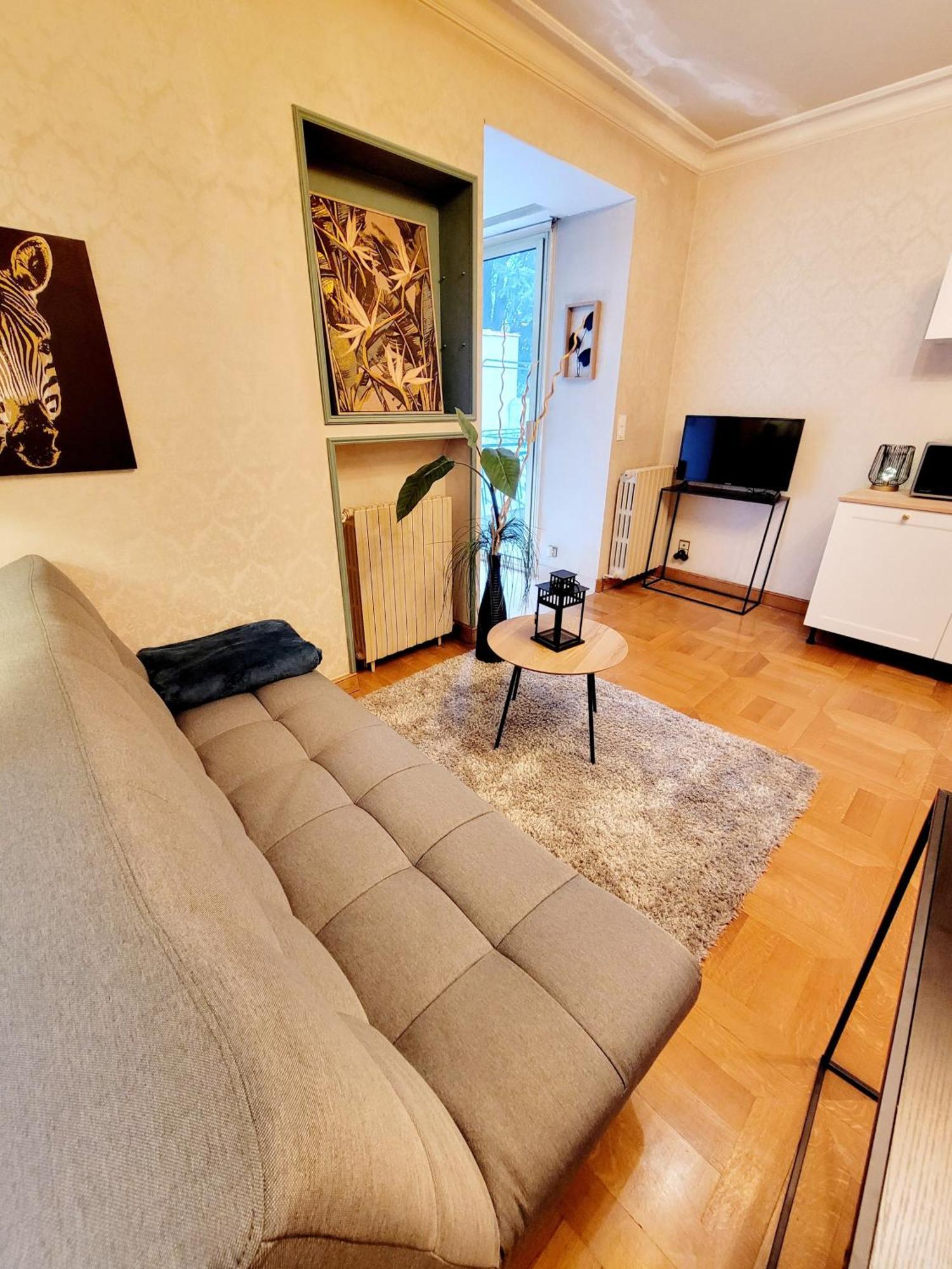 Superbe Appartement Calme Et Spacieux Graulhet Esterno foto